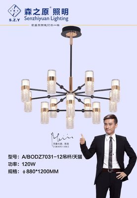 BODZ7031-12头吊杆