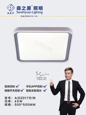 DZ017方/灰