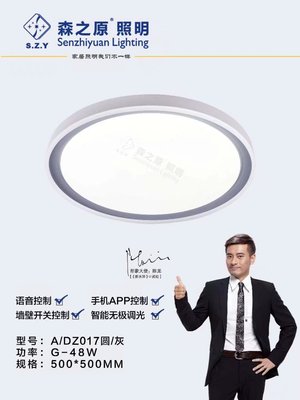DZ017圆/灰