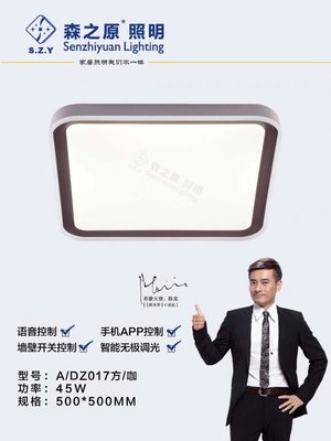 DZ017方/咖