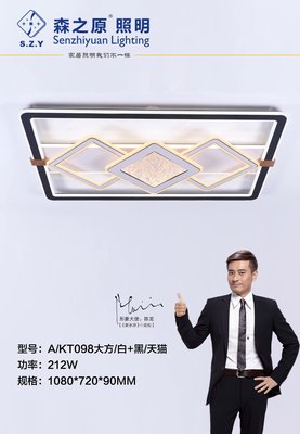 KT098大方