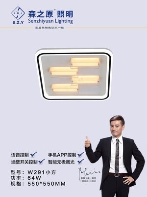 W291小方