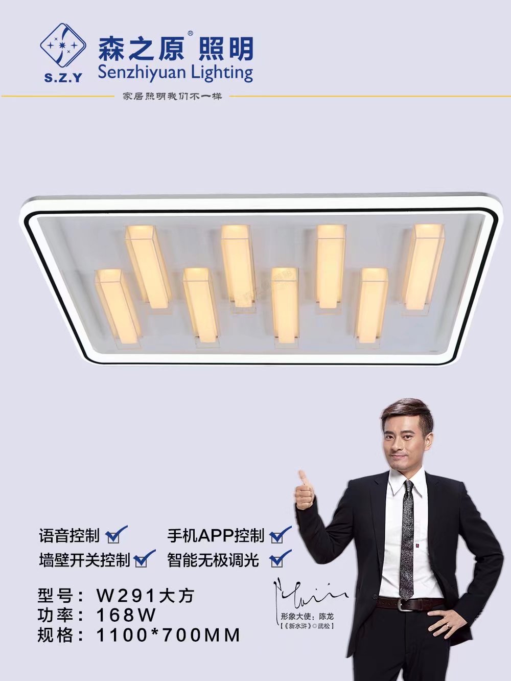 W291大方