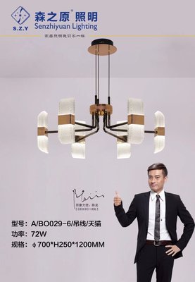 BO029-6头吊