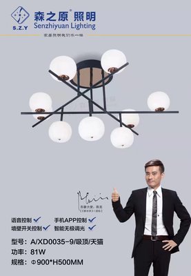 XD0035/9头吸顶
